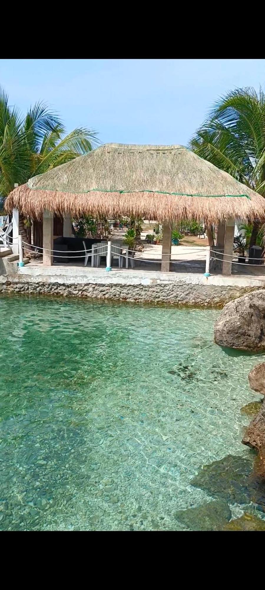 Seascape Beach Resort Oslob Bagian luar foto
