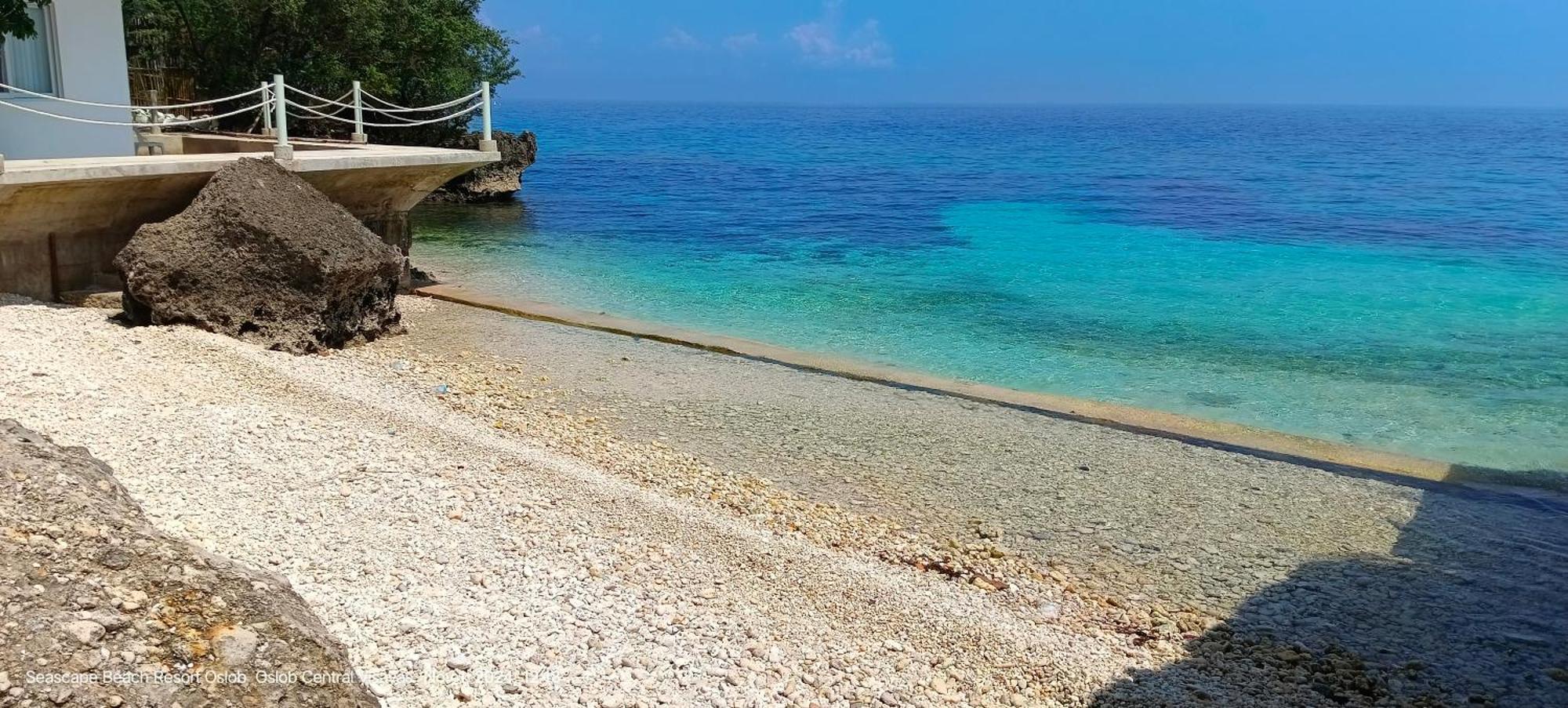 Seascape Beach Resort Oslob Bagian luar foto
